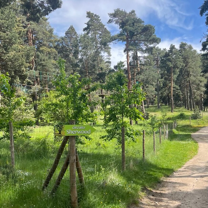 469045260 17929499636976882 4313751340681268335 n