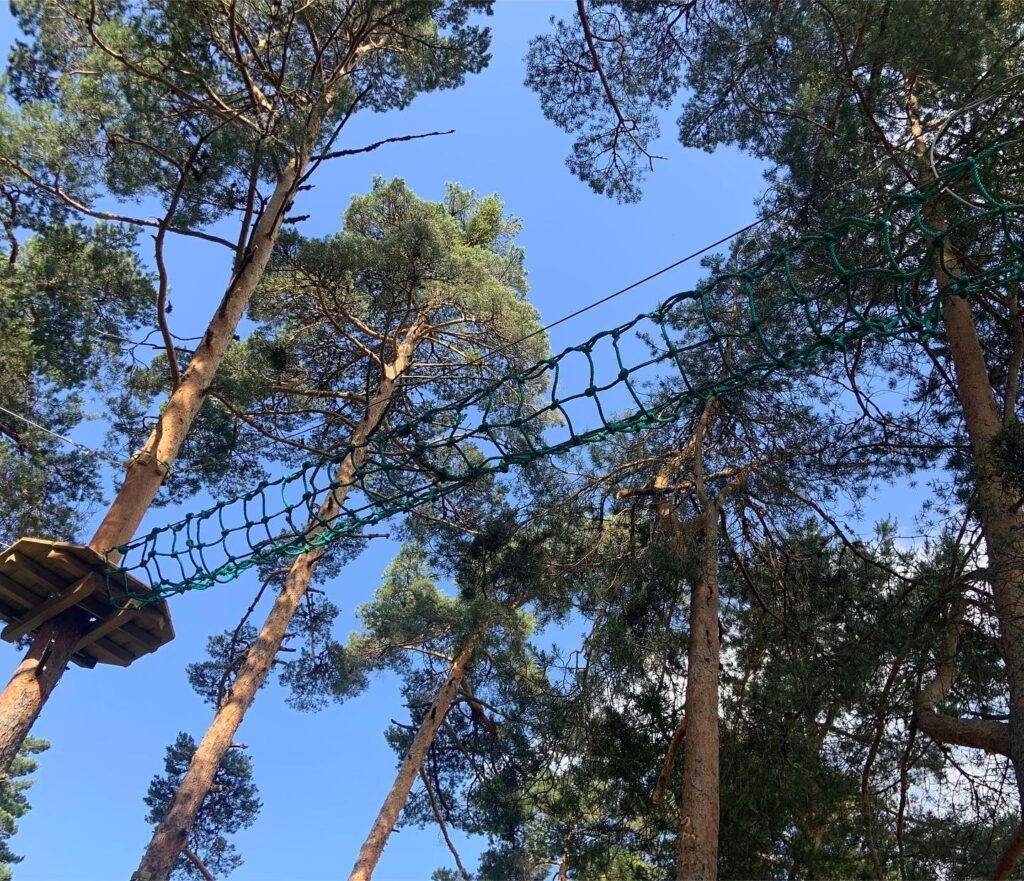 487404587 1245840584214386 2514108828872161101 n